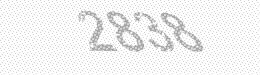 Visual security code — type the characters shown in the image