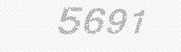 Visual security code — type the characters shown in the image